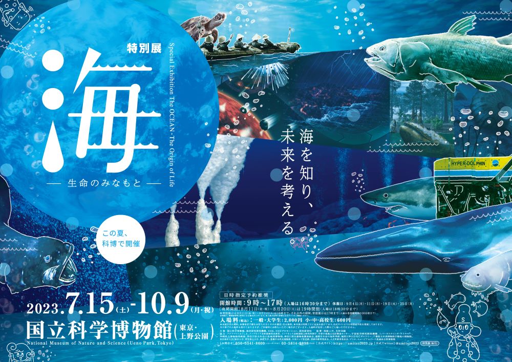 特別展「海」